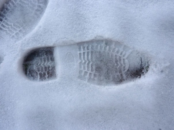 fottprints in the snow